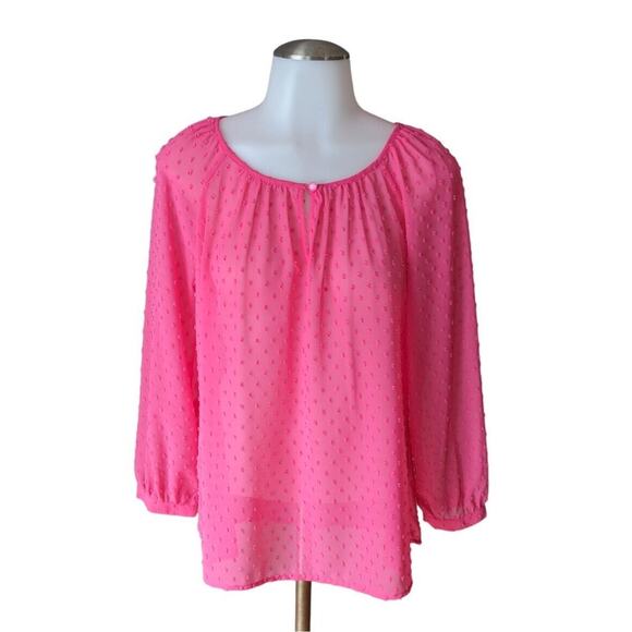 Cynthia Rowley Blouse Small Long Sleeve Sheer Pink Flowy Cottagecore Romantic - Picture 1 of 8